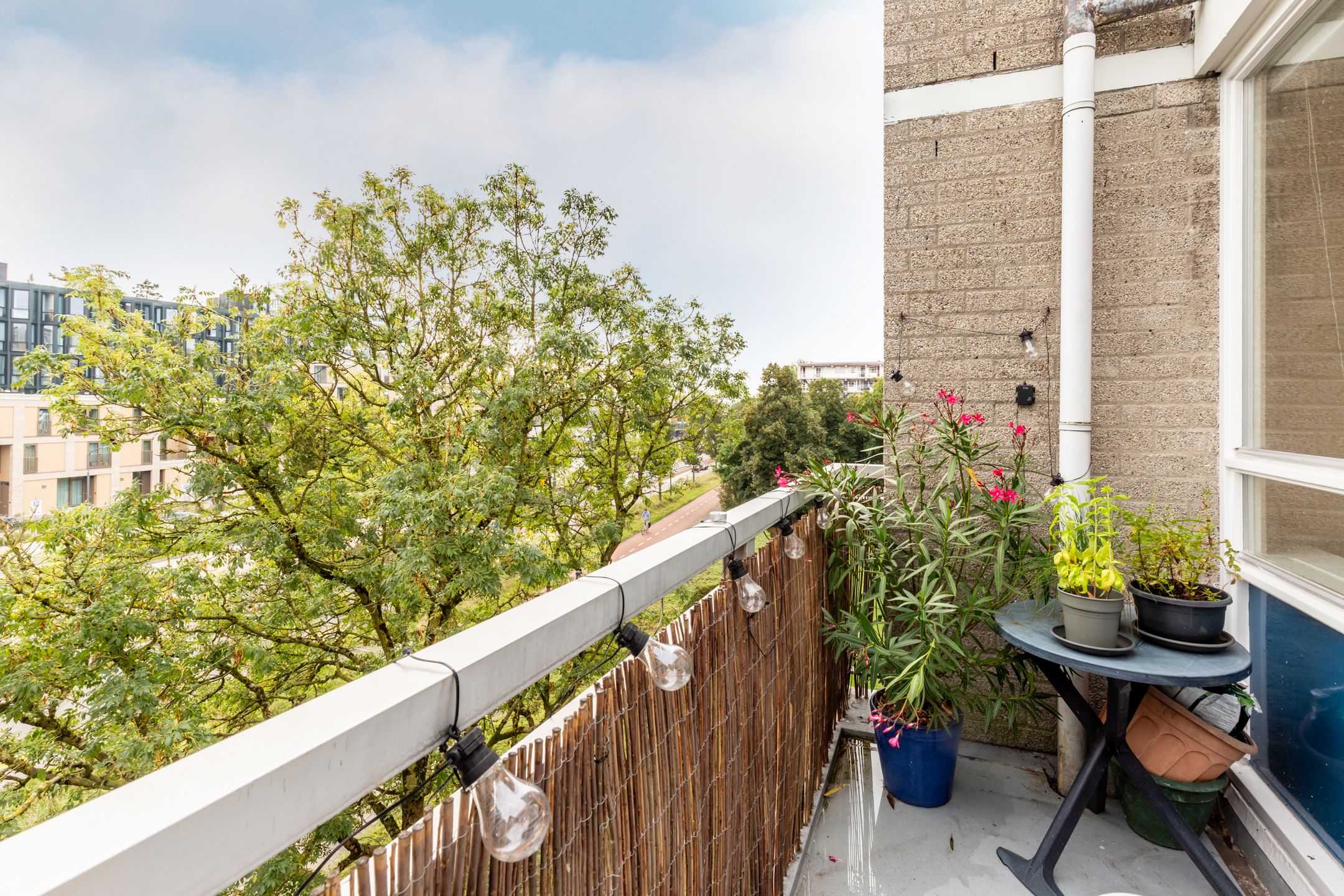 Photo 15 of Madridplantsoen 105