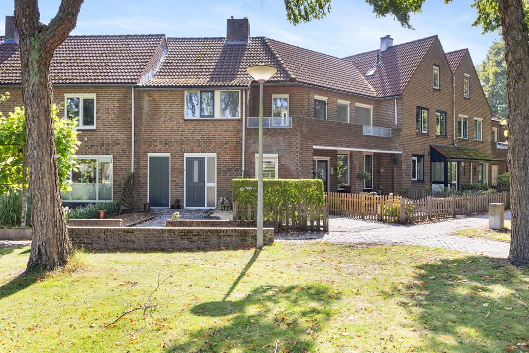 Foto 2 van Nettenknoper 33