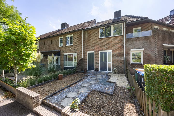 Foto 3 van Nettenknoper 33