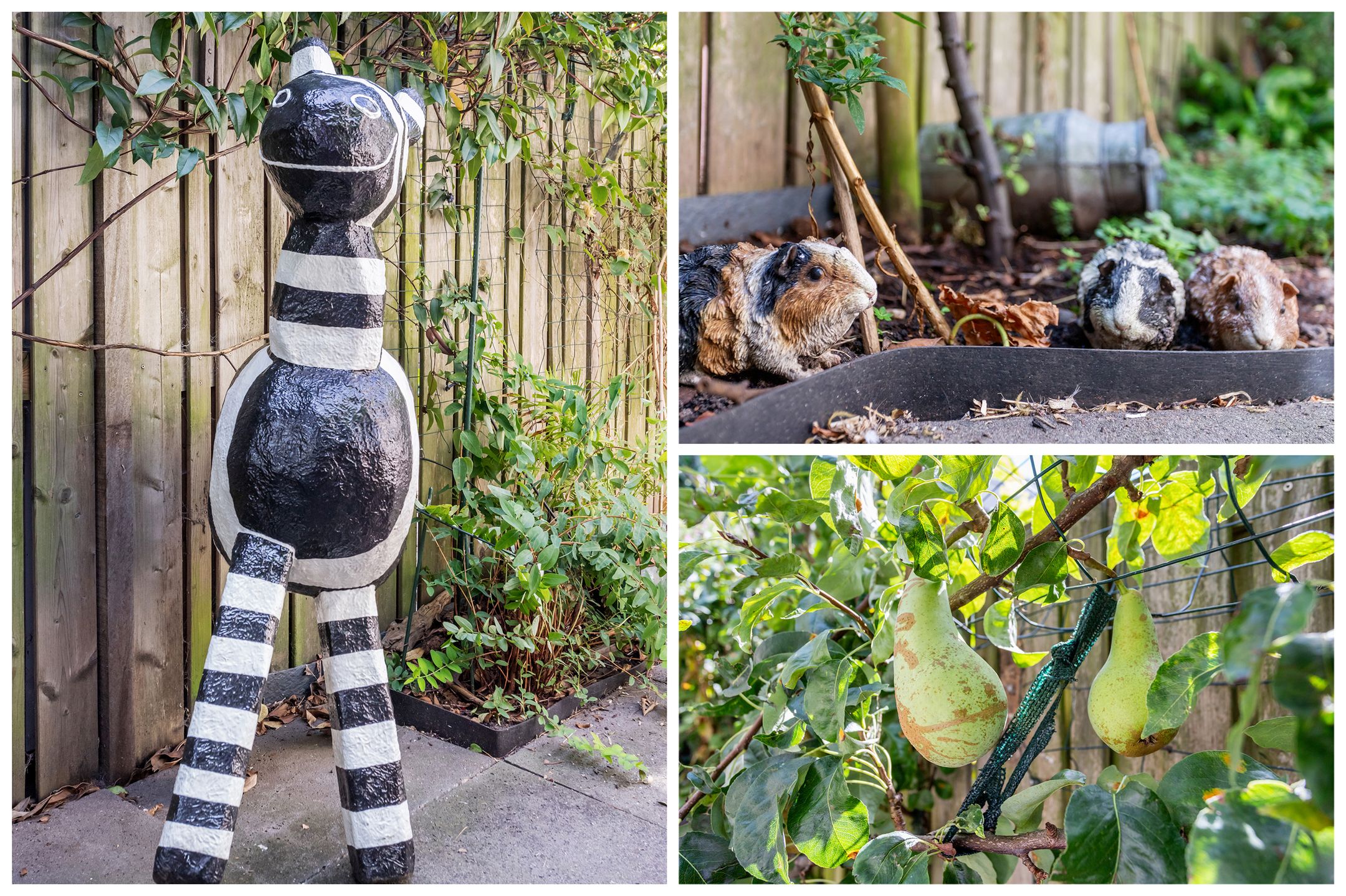 Photo 27 of Merwedestraat 59