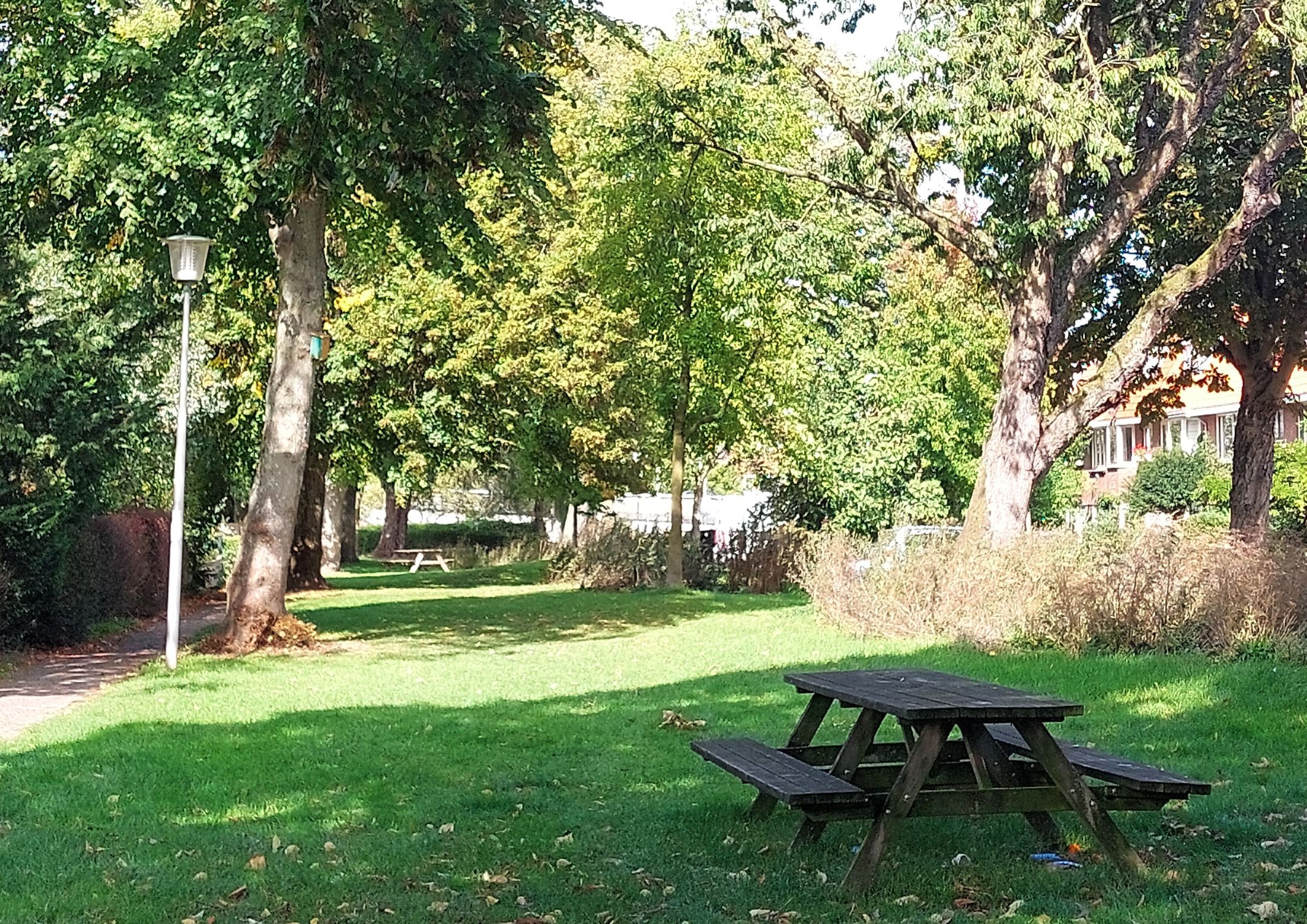 Photo 33 of Merwedestraat 59