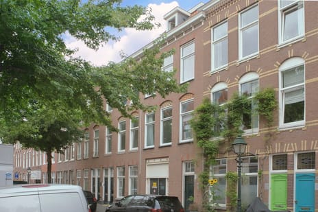 Newtonstraat 369