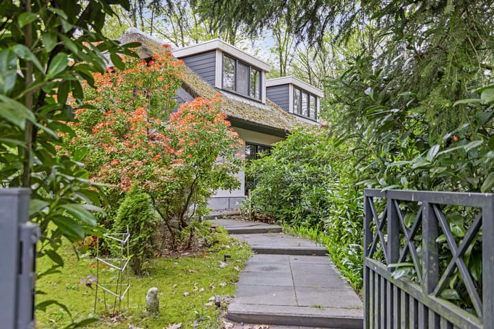 Foto 9 van De Stille Wille 26