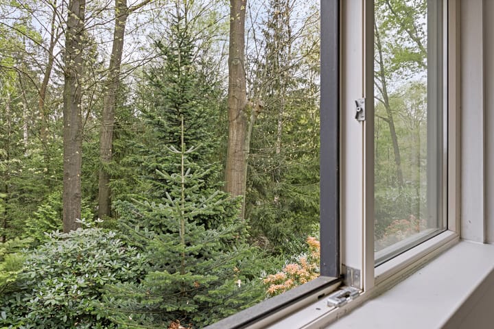 Foto 28 van De Stille Wille 26