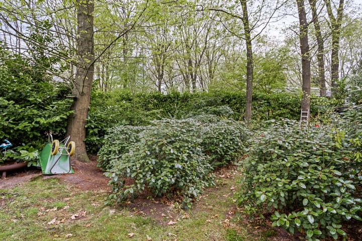 Foto 35 van De Stille Wille 26