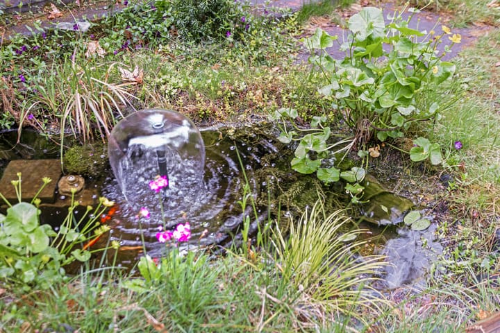 Foto 37 van De Stille Wille 26