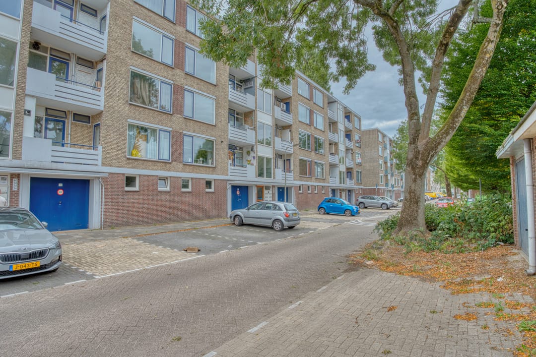 Foto 1 van Dahliastraat 60