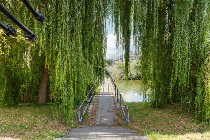 Foto 40 van Snelfilterweg 81