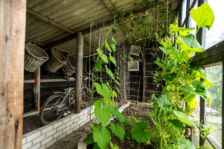 Foto 11 van Zeedijk 21