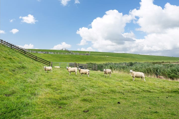 Foto 43 van Zeedijk 21