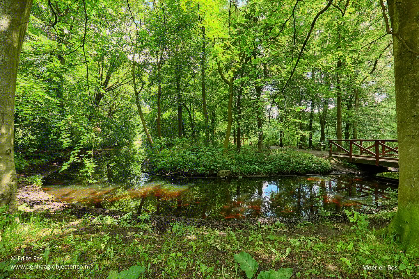 Foto 29 van Landréstraat 458