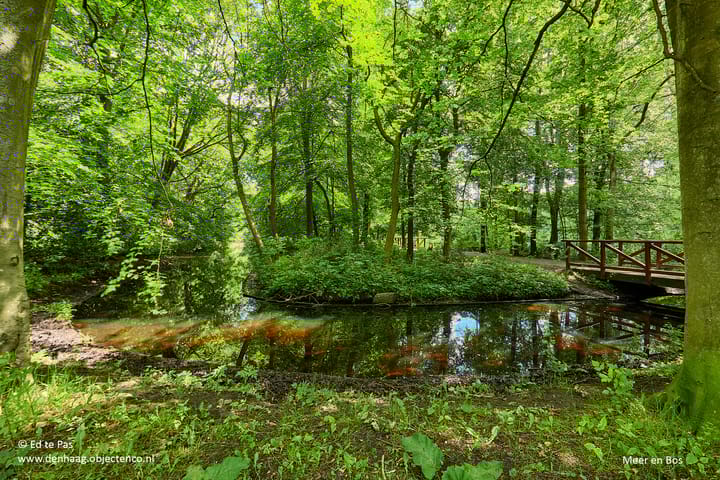 Foto 29 van Landréstraat 458