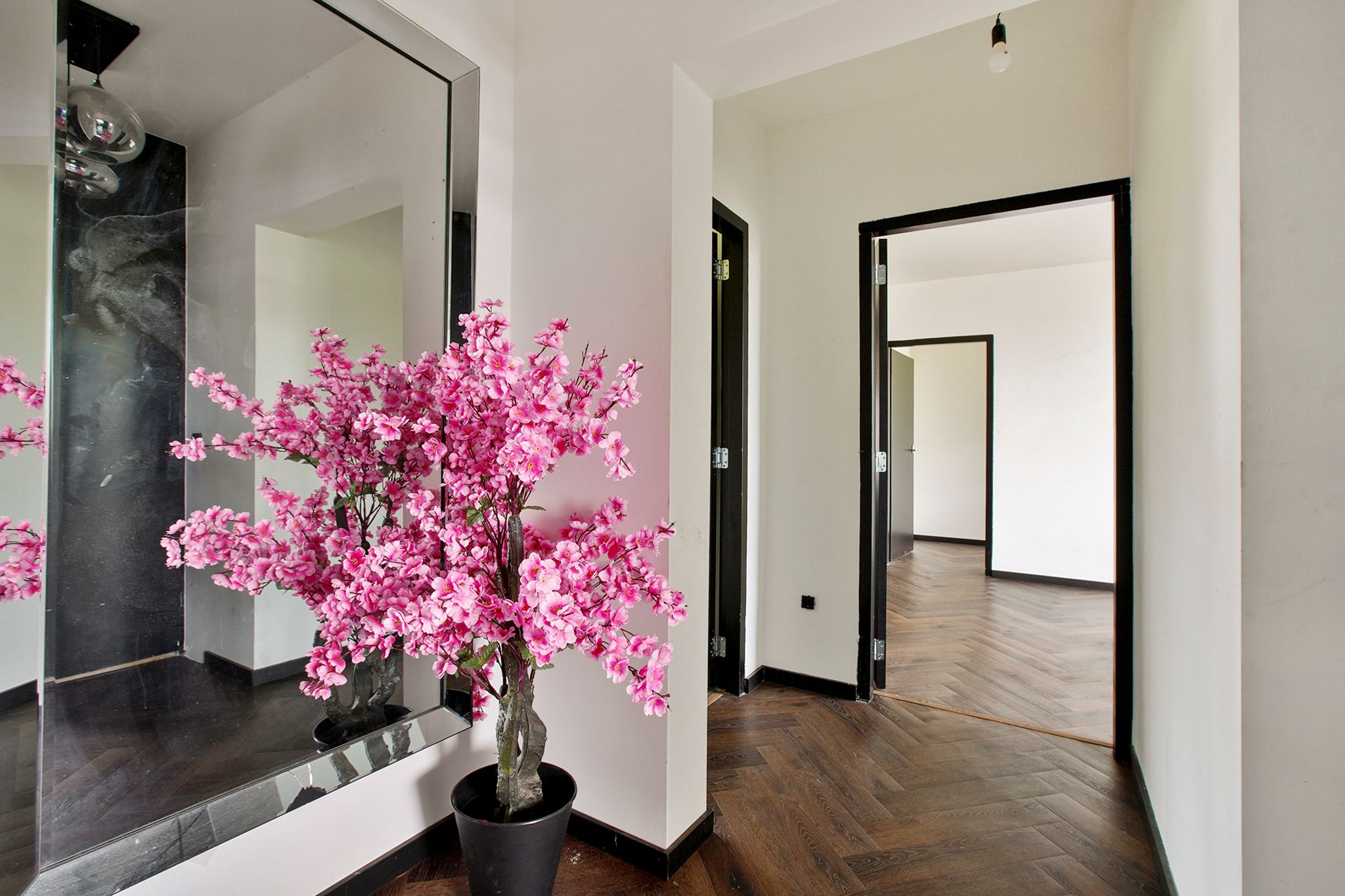 Photo 18 of Tobias Asserlaan 391