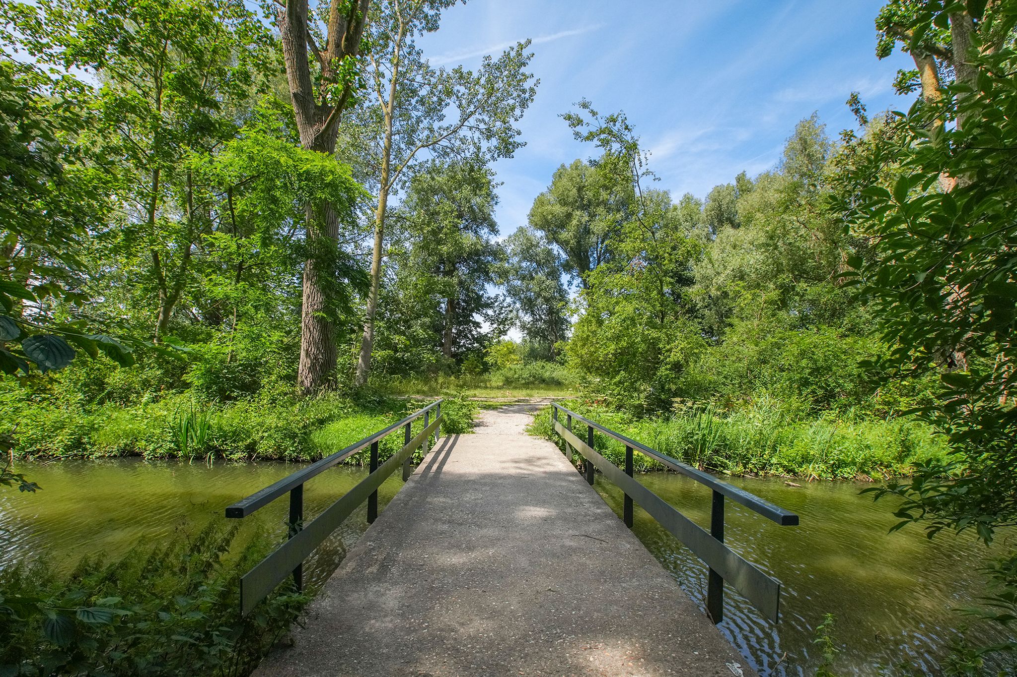 Photo 39 of Tobias Asserlaan 391