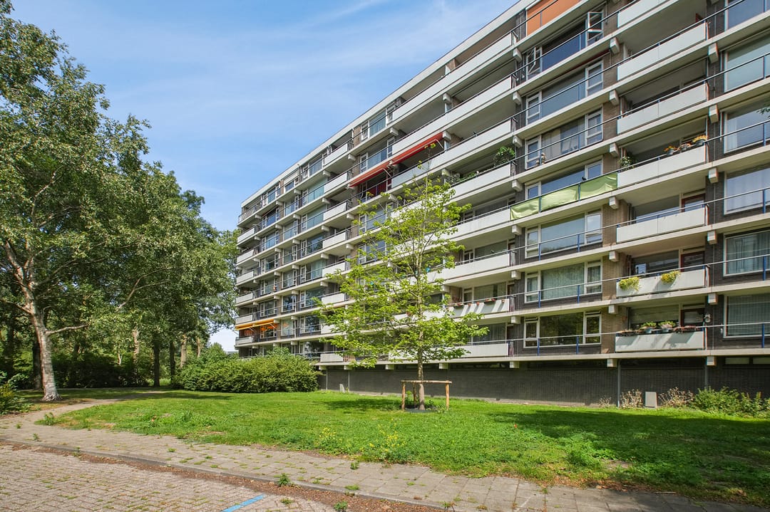 Photo 41 of Tobias Asserlaan 391