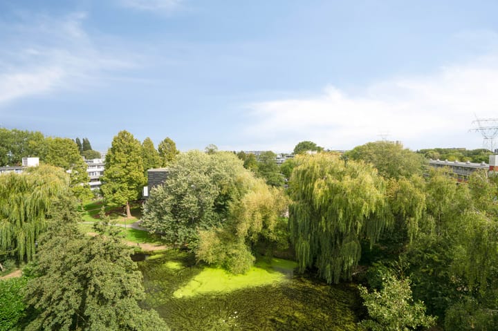 Foto 3 van Condorhorst 113