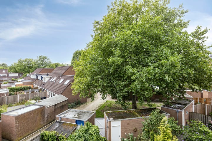 Foto 16 van De Burcht 38