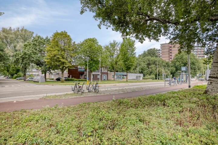 Foto 20 van De Burcht 38