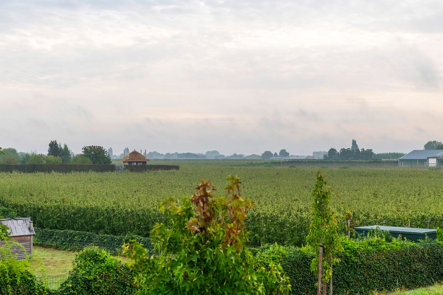 Foto 80 van Burensedijk 21