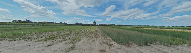 360° foto van Grond