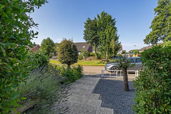 Photo 8 of De Boarch 31