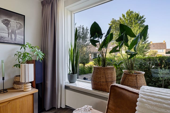 Photo 12 of De Boarch 31