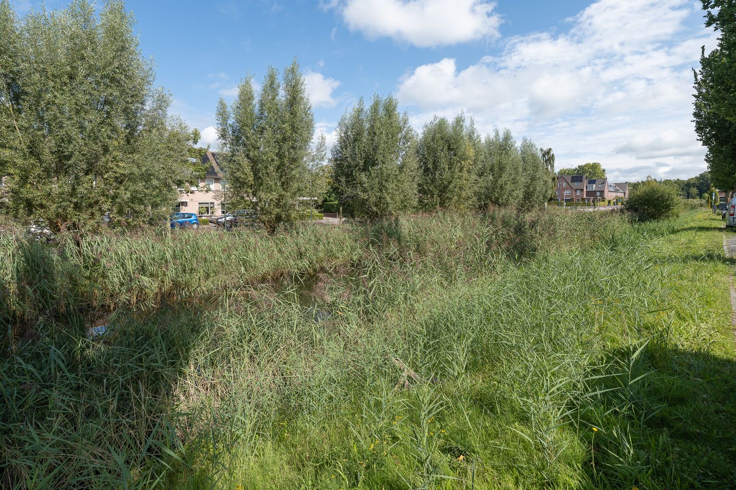 Foto 50 van Knottenbeltlaan 29