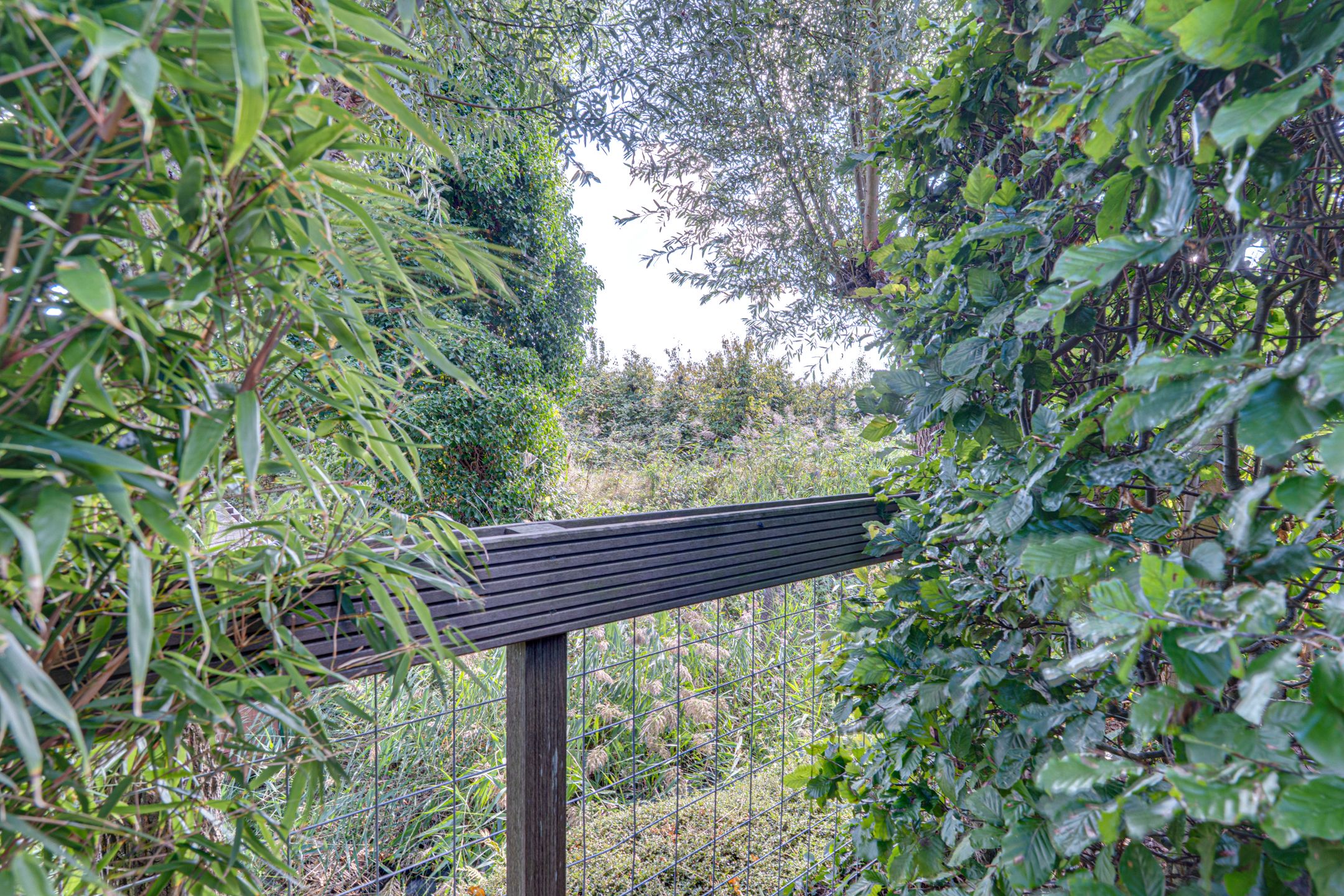 Foto 54 van Dr.W.Dreeslaan 10