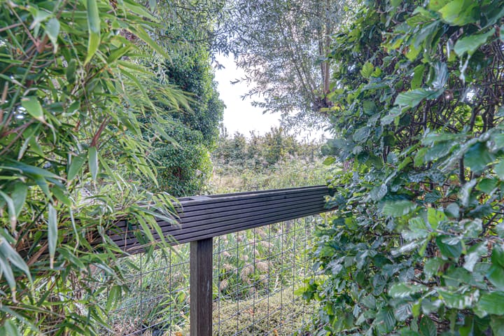 Foto 54 van Dr.W.Dreeslaan 10