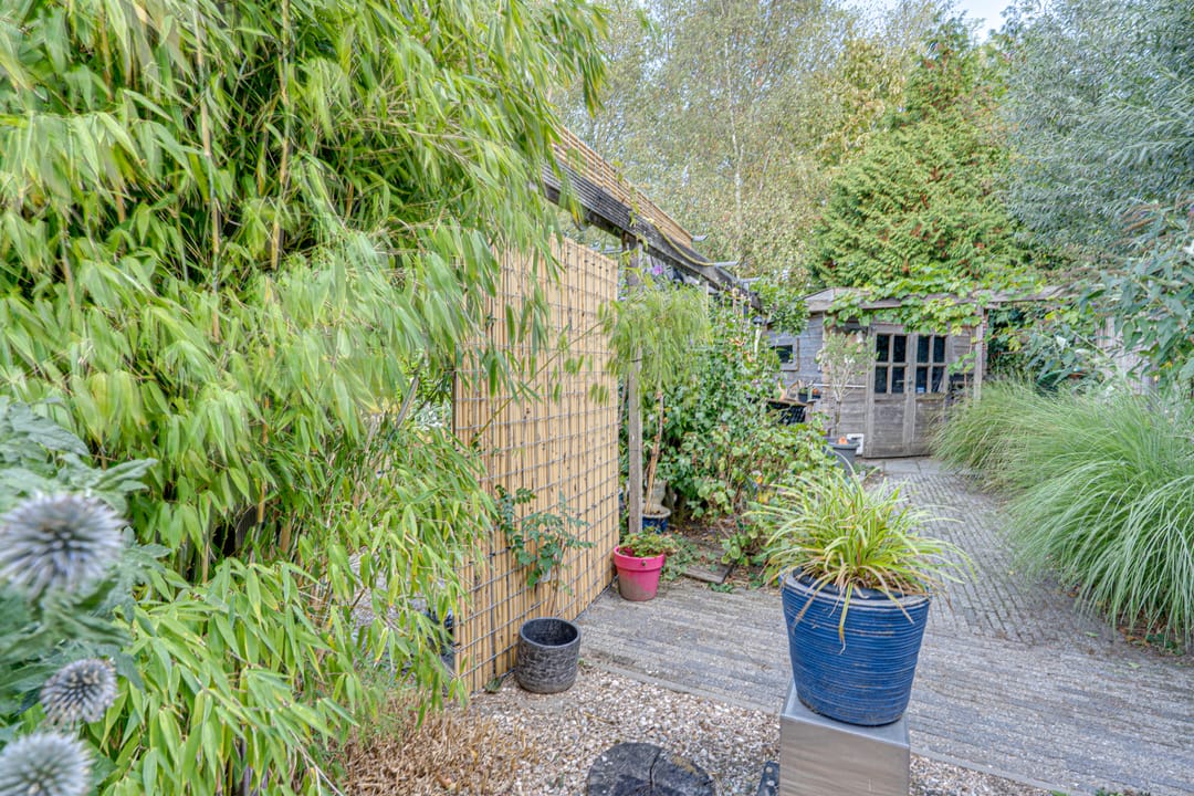 Foto 56 van Dr.W.Dreeslaan 10