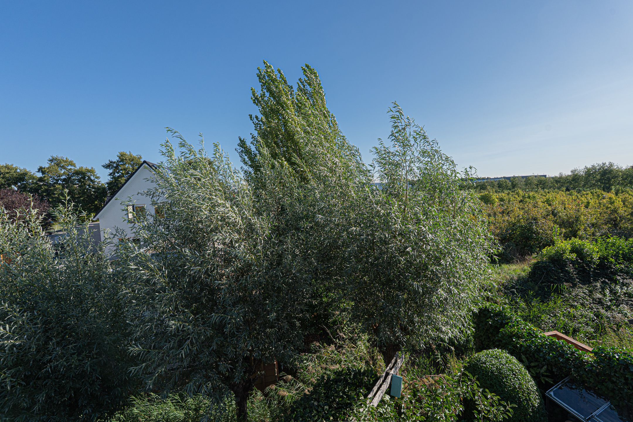 Foto 60 van Dr.W.Dreeslaan 10