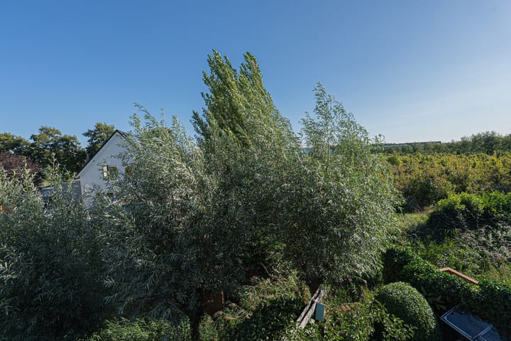 Foto 60 van Dr.W.Dreeslaan 10