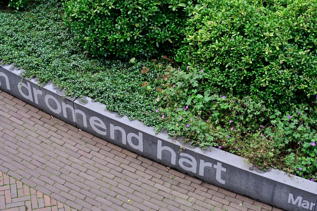 Foto 22 van Weeshuislaan 151