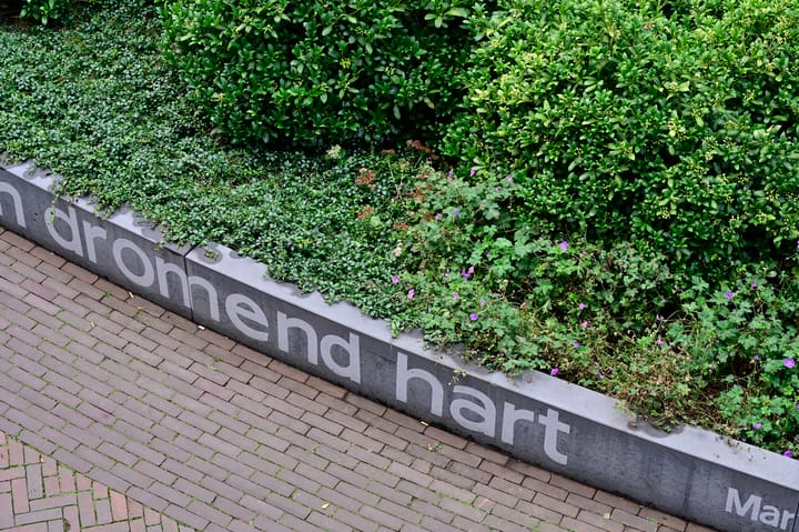 Foto 22 van Weeshuislaan 151