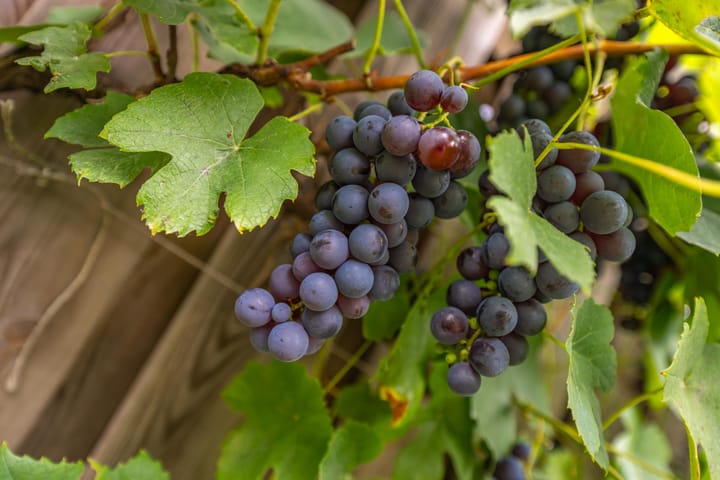 Foto 41 van Simon Vestdijkstraat 55