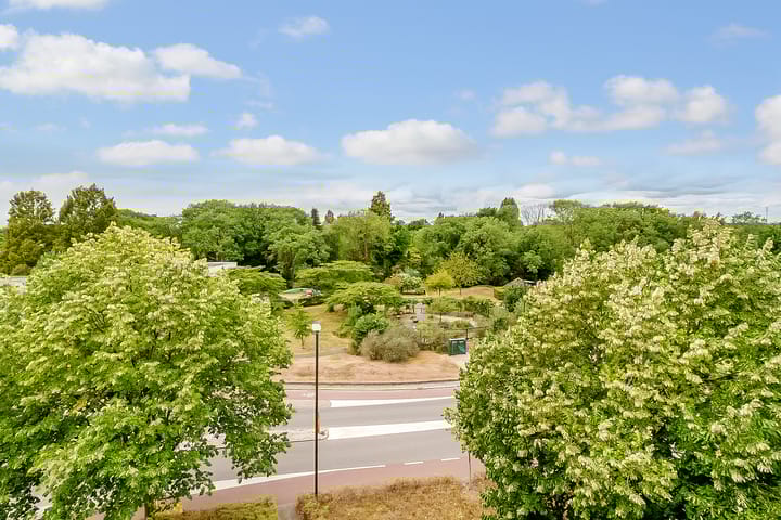 Foto 28 van Aartsbisschop Romerostraat 411