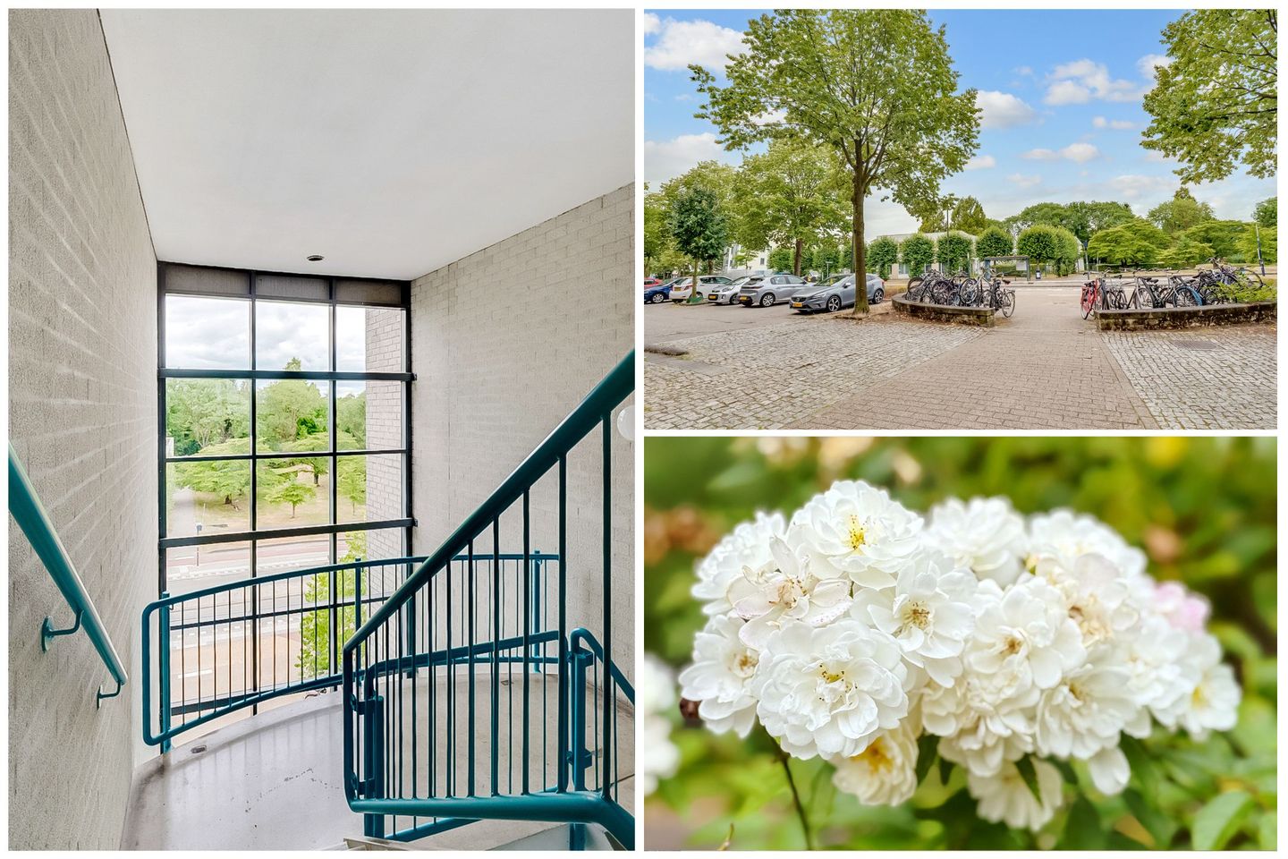 Photo 40 of Aartsbisschop Romerostraat 411