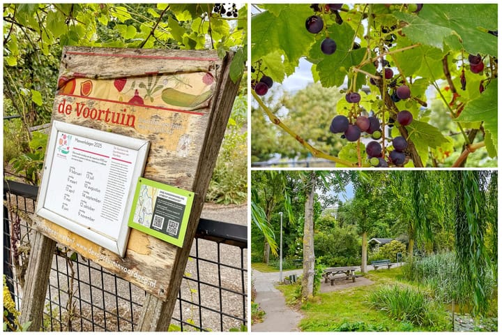 Foto 41 van Aartsbisschop Romerostraat 411