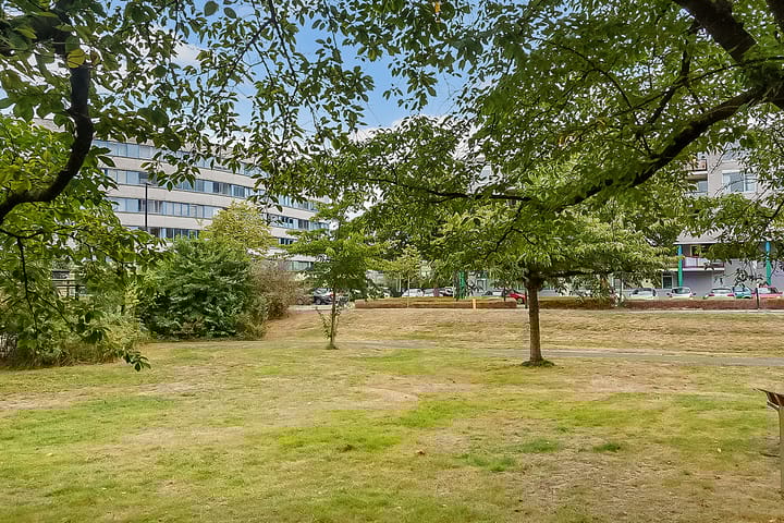 Foto 43 van Aartsbisschop Romerostraat 411