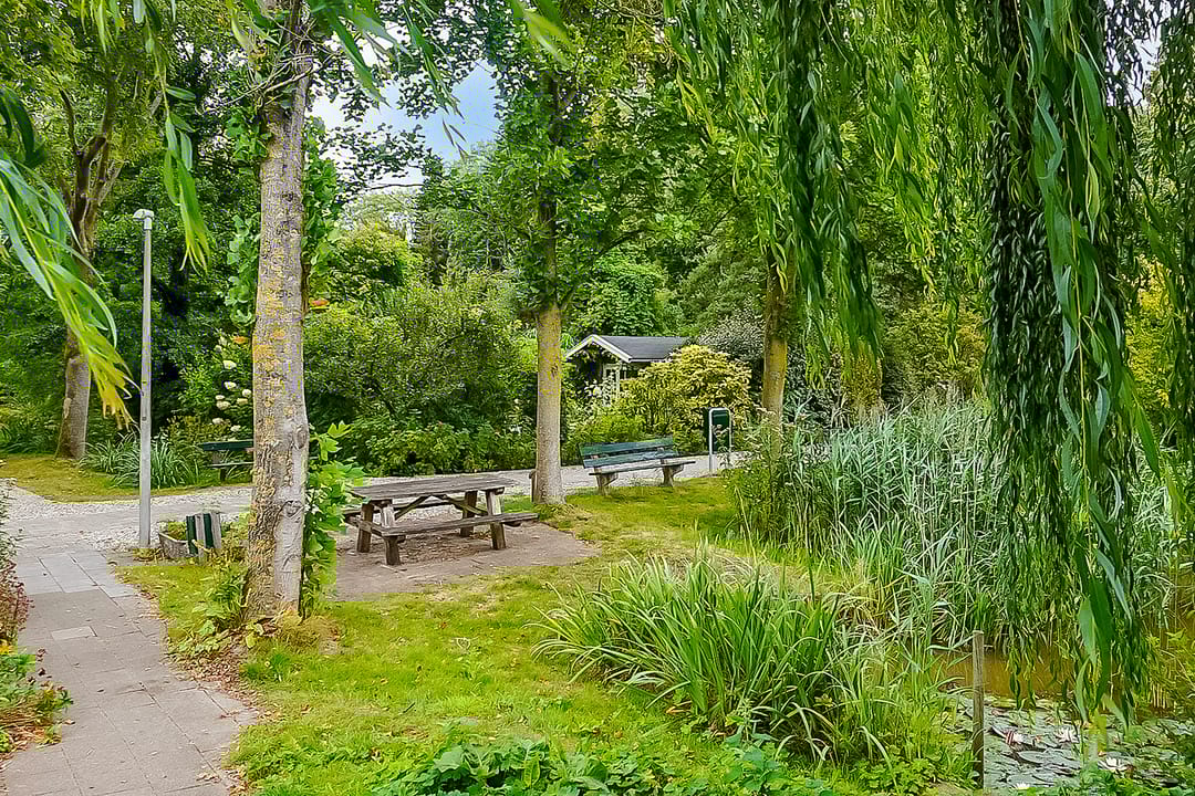 Photo 46 of Aartsbisschop Romerostraat 411