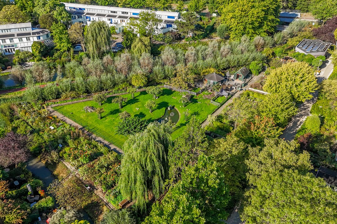 Photo 53 of Aartsbisschop Romerostraat 411