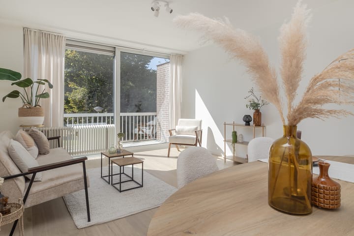 Foto 3 van Dokter van Kleefstraat 48-C