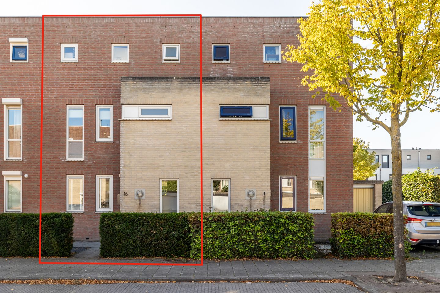 Foto 5 van Vuurvlinder 16