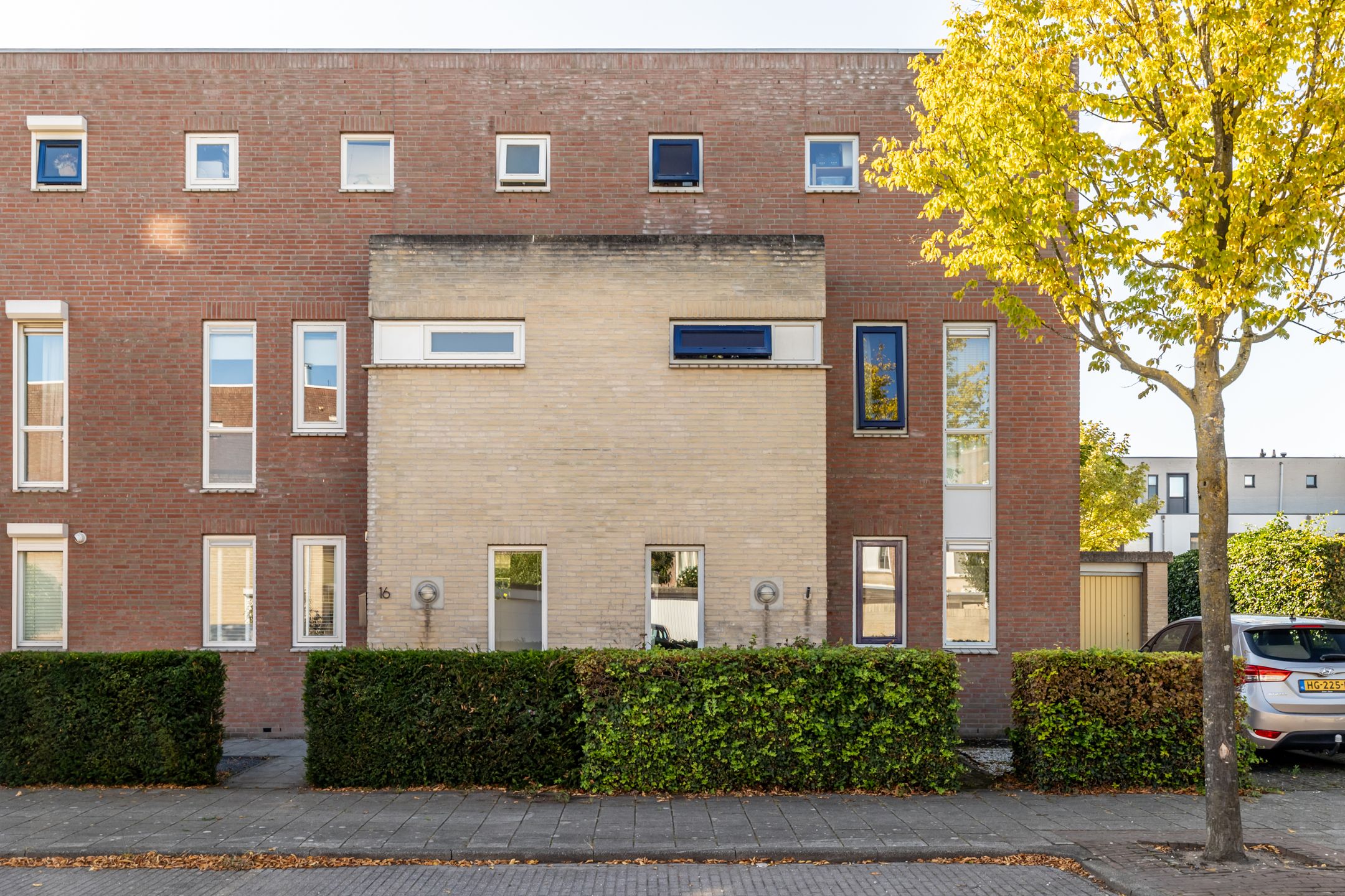 Foto 33 van Vuurvlinder 16