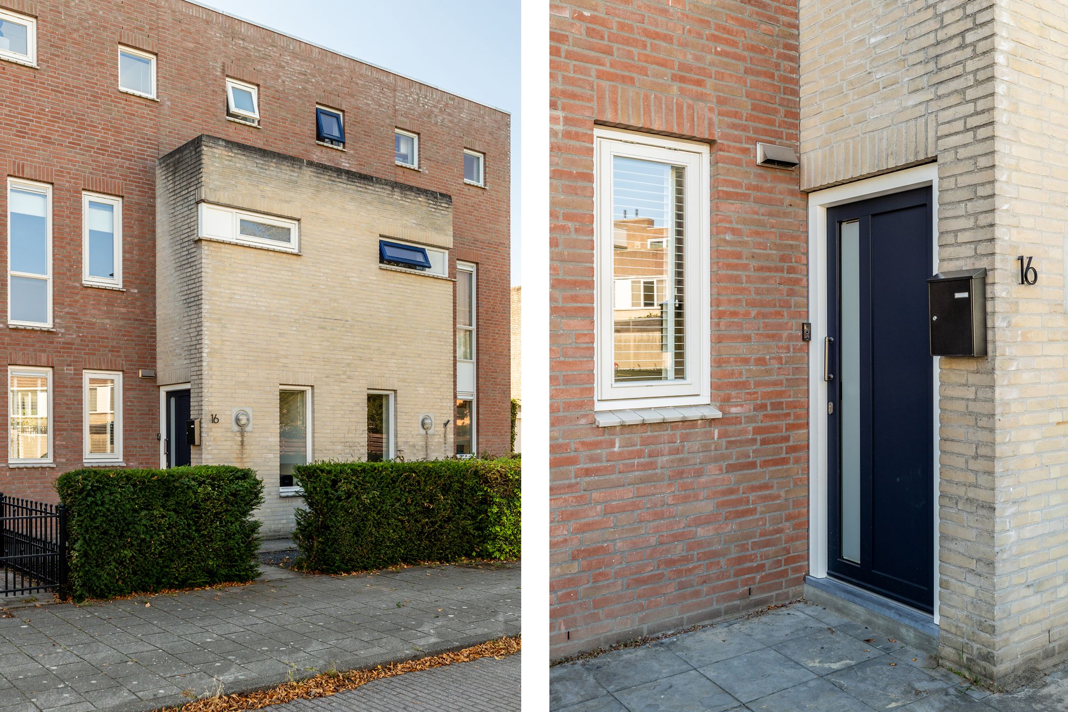 Foto 6 van Vuurvlinder 16