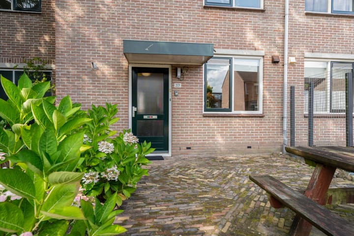 Foto 5 van Mercury 201