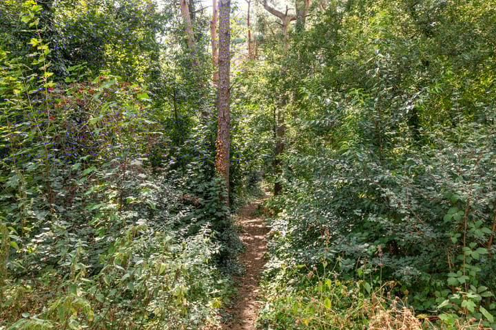 Foto 39 van Mercury 201