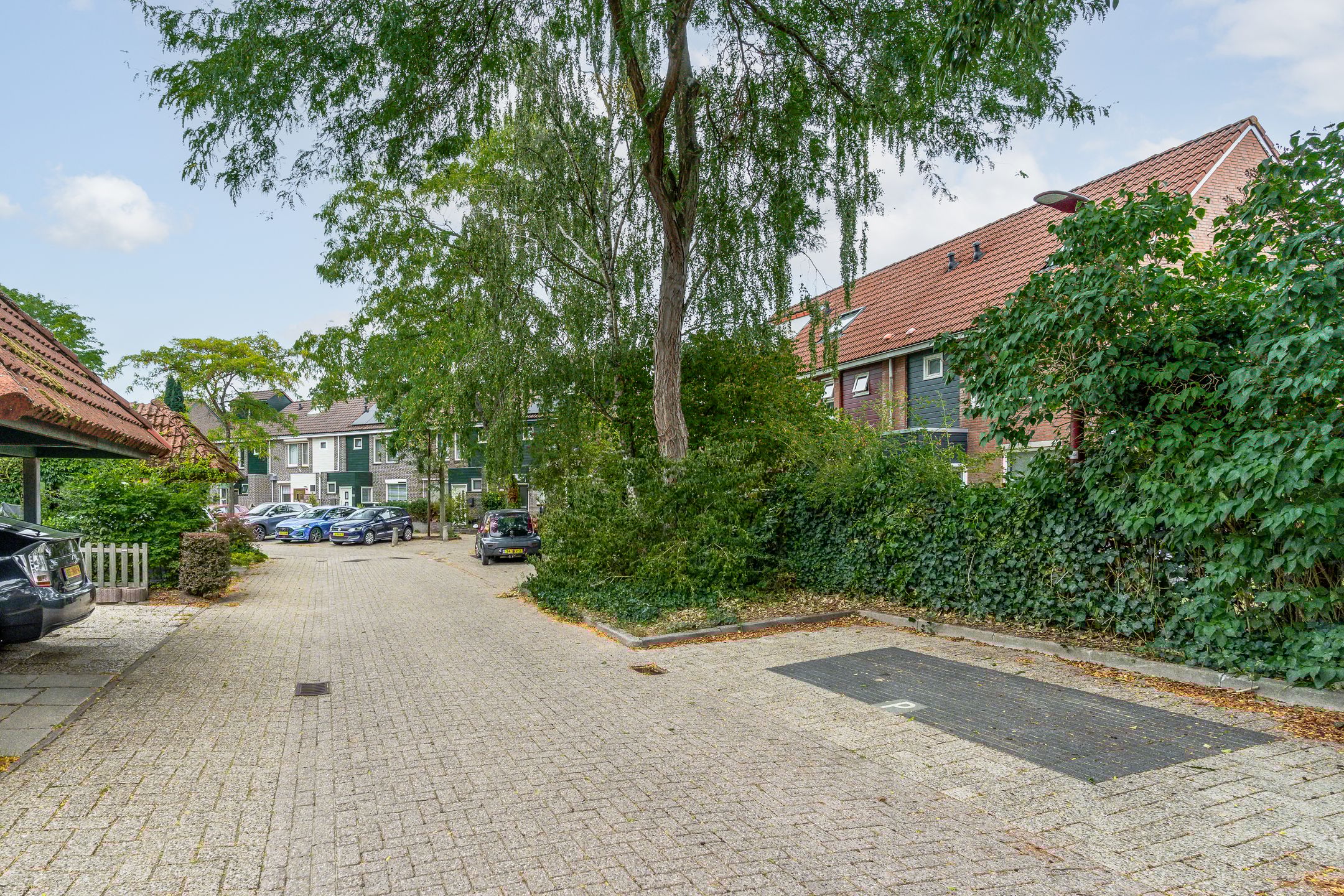 Photo 6 of Velduil 2