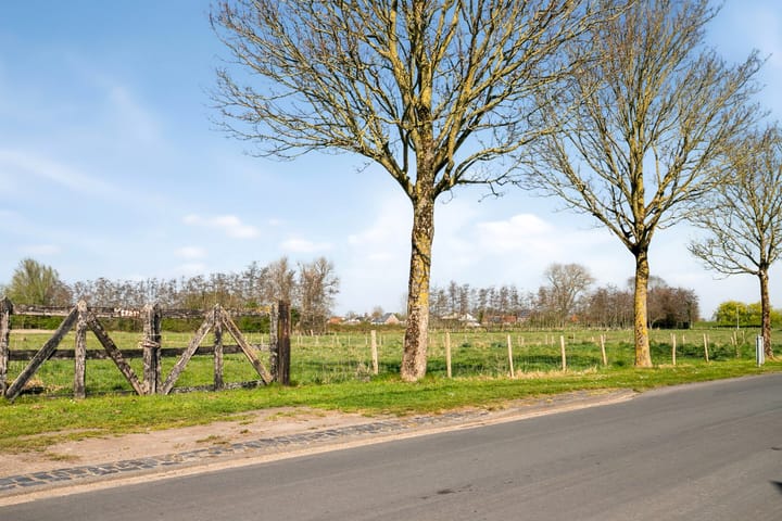 Foto 5 van Bogaardstraat 20