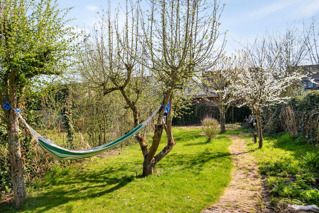 Photo 31 of Bogaardstraat 20